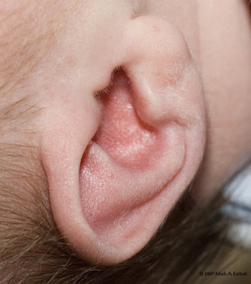 Can You Hear Me Yet? (Baby Parts #2 in a series)