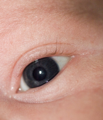 The Eye Of A Child (Baby Parts #3 in a series)