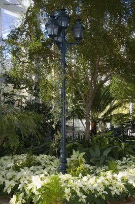 Floral Lamp Post