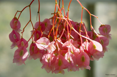 Just Hanging There