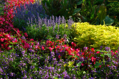 Layered Color