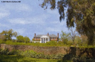 Boone Hall Plantation, In Oil
