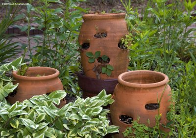 Pots and Plants