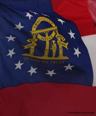 Georgia Flag Detail