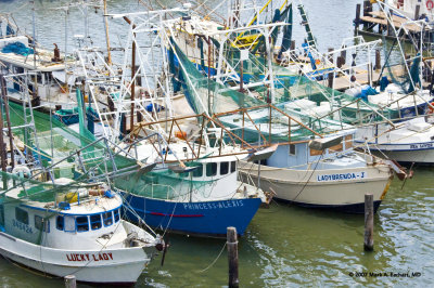 Shrimp Boats