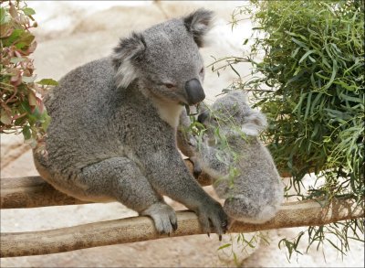 Mum & Bub 1.jpg