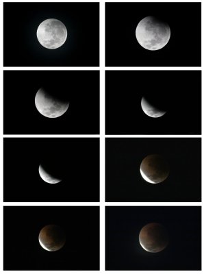 Eclipse.jpg