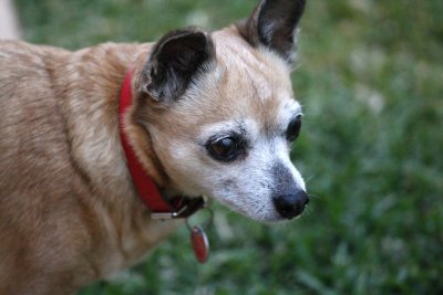 Bonnie_ISO6400.jpg