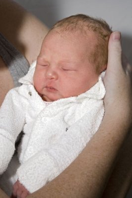 Ava003.jpg