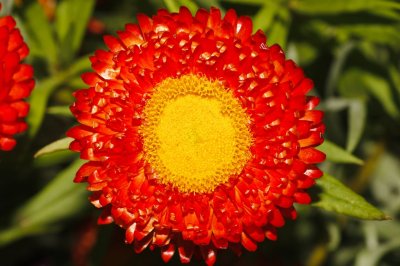 Gardens002.jpg