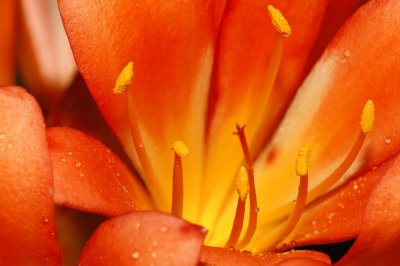 Gardens004.jpg