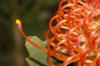 Gardens006.jpg