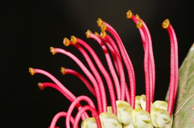 Gardens012.jpg