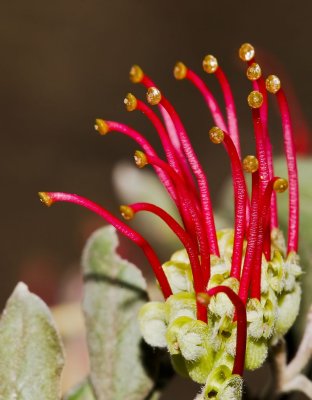Gardens013.jpg