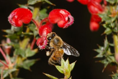 Gardens018.jpg