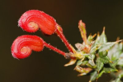 Gardens019.jpg