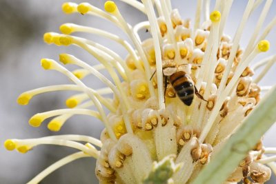 Gardens021.jpg