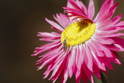 Gardens024.jpg