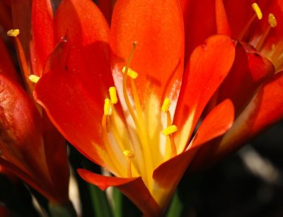 Gardens028.jpg