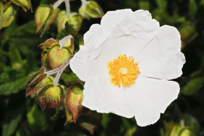 Gardens004.jpg