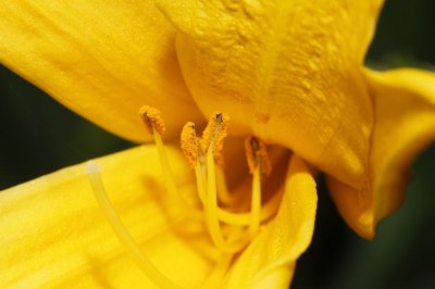 Gardens008.jpg