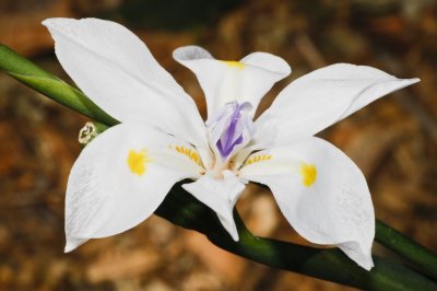 Gardens013.jpg