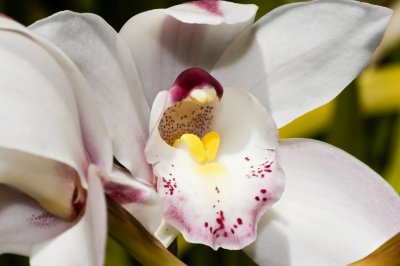 Gardens024.jpg