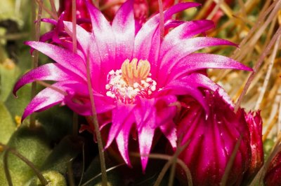 Gardens033.jpg