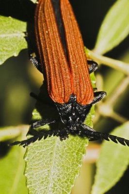 Gardens034.jpg