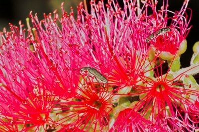 Gardens041.jpg