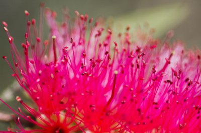 Gardens042.jpg