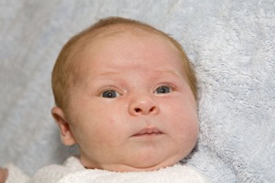 Ava013.jpg