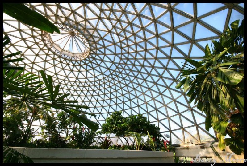 Brisbane Botanic Gardens - inside the dome