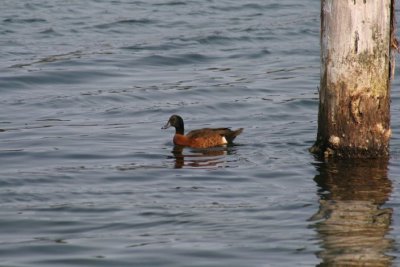 IMG_3424.JPG