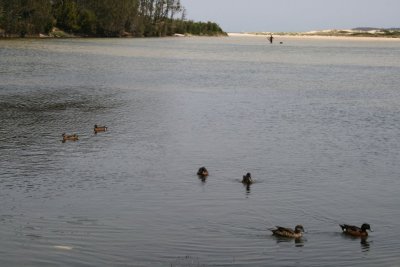 IMG_3465.JPG