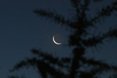Crescent moon and earthshine