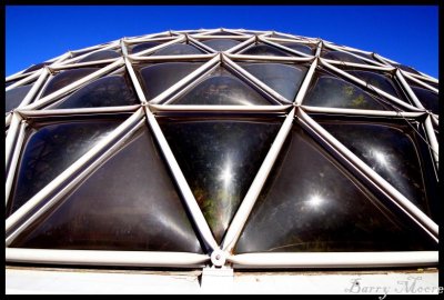 Brisbane Botanic Gardens - the dome close up