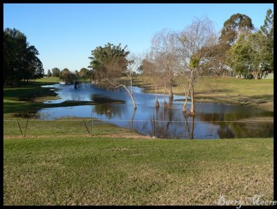 Taree - outside the Motel