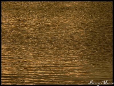 Sunset at Tweed Heads on the River 3