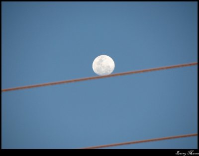 26 Aug Moon and power line IMG_0170.JPG