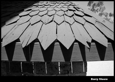 Roof Slats