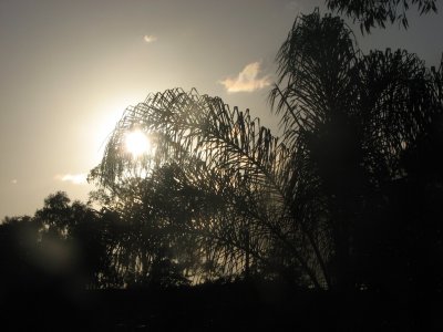 Thursday morning Sunrise