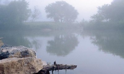 Fog on Highland Creek 1
