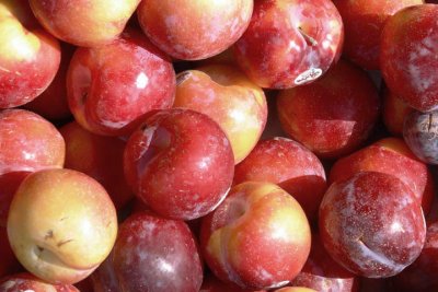 Plums at Pape