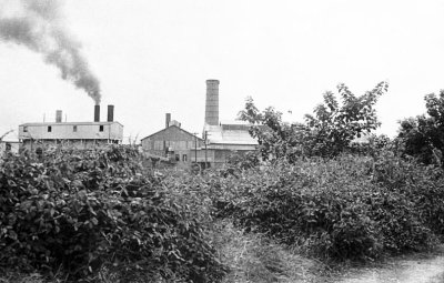 Sugar Factory