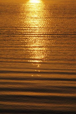 Sun Up