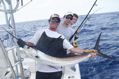 Sailfish