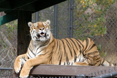 CRW_9567.JPG
