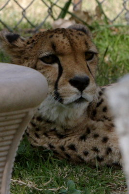 CRW_9570.JPG