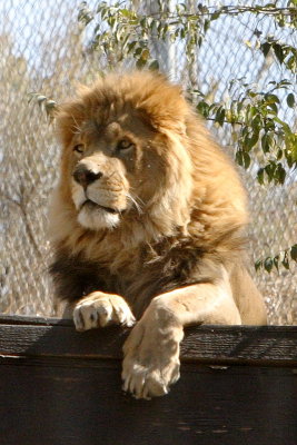 CRW_9615.JPG